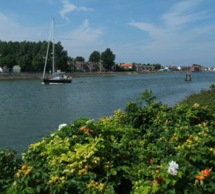 Camping dans le Nord, Les Dunes 4 étoiles : visiter la région