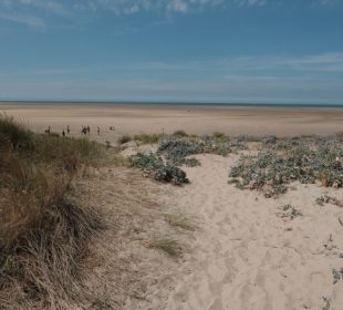 camping Nord avec accès direct à la plage de Gravelines