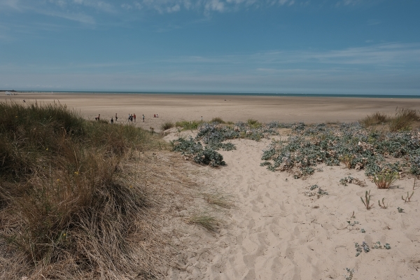 camping Nord avec accès direct à la plage de Gravelines