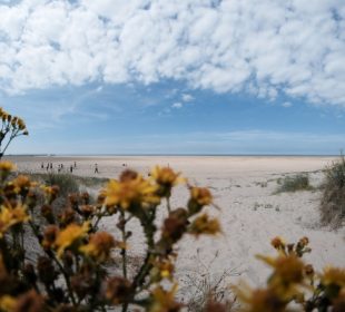 camping sur la cote d'opale avec accès direct à la plage de Gravelines