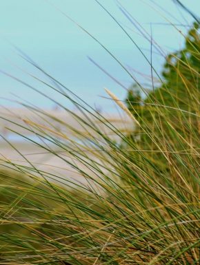 Camping Calais : vue de la plage