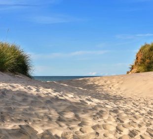 Camping sur la cote d'Opale : vue de la plage à proximité des Dunes