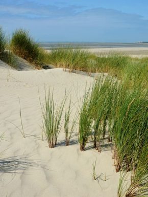 Camping cote d'opale : vue sur les plages du Nord