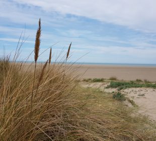 Accès direct à la plage depuis notre camping 4 étoiles dans le Nord